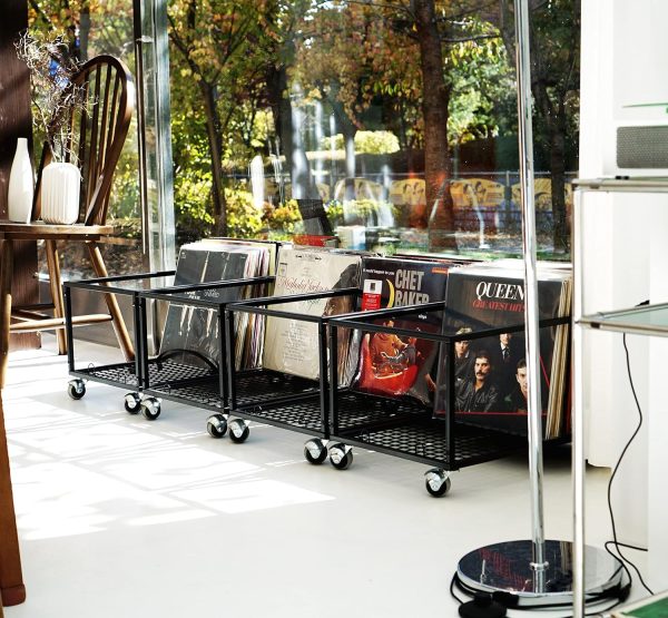 Vinyl Record Storage Holder on Wheels