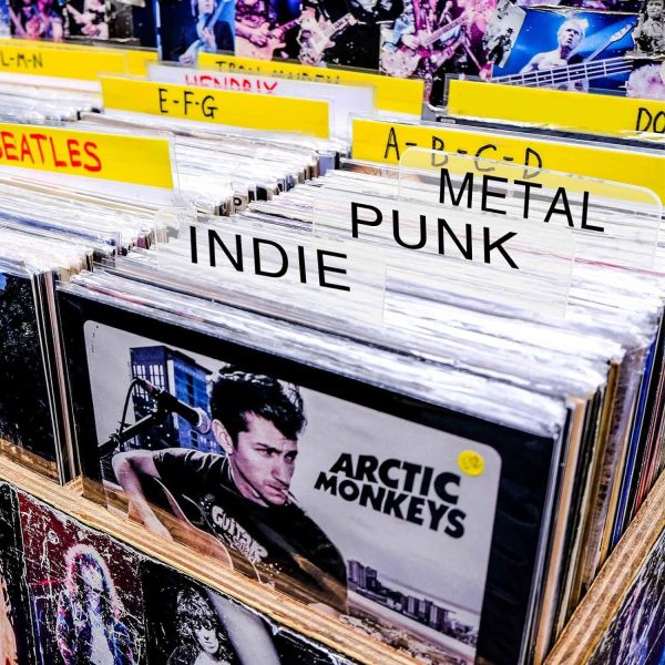 Acrylic Vinyl Record Dividers - Image 7